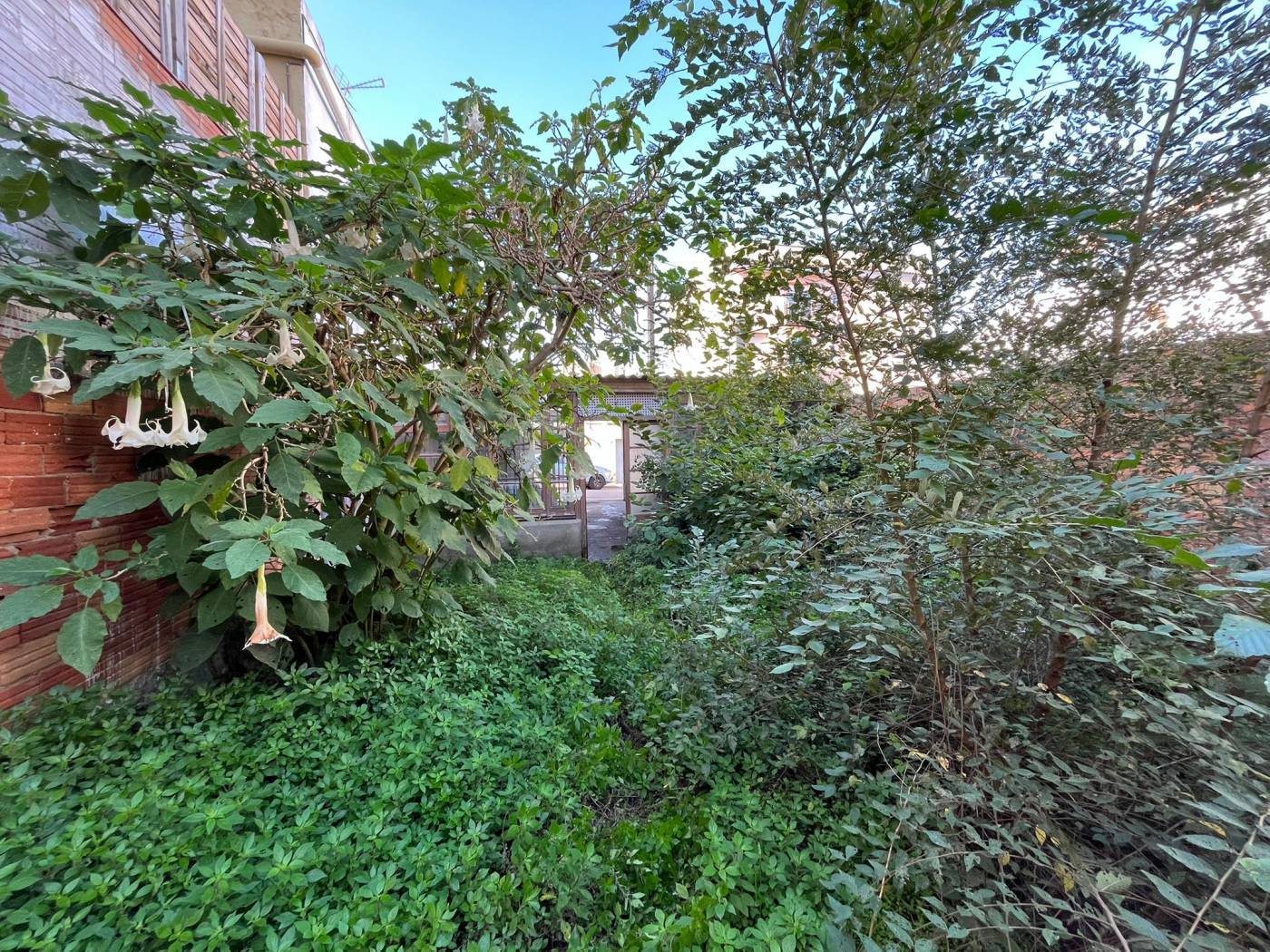 Terrain dans Sant Pere de Ribes, Barcelona à vendre Plan d’étage– Image 1 sur 3