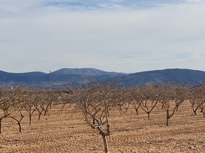 Terrain dans Yecla, Murcia à vendre - Photo principale – Image 2 sur 8