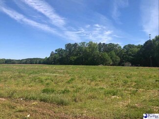 Plus de détails pour 0 W Bobo Newsom hwy, Hartsville, SC - Terrain à vendre