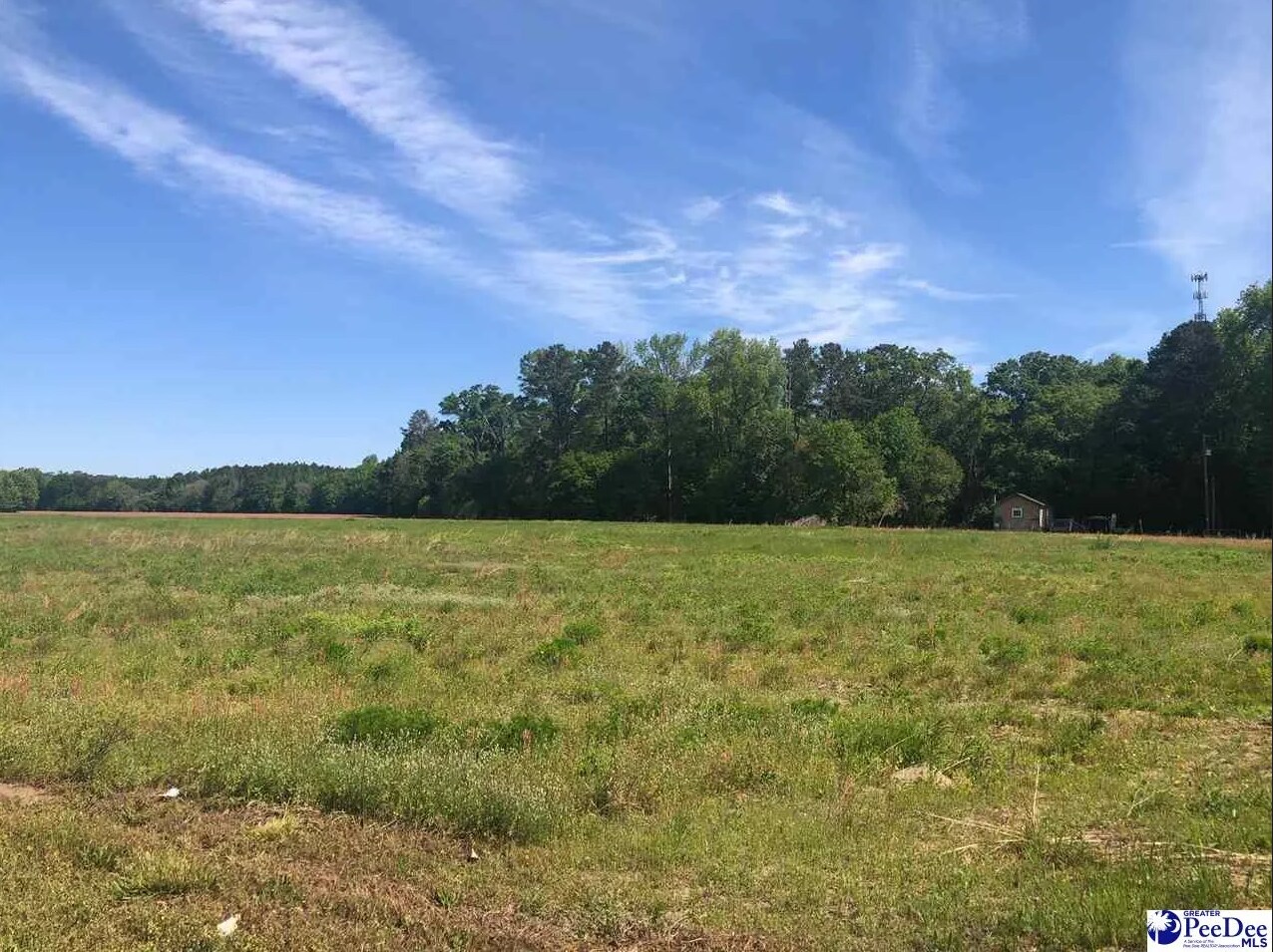 0 W Bobo Newsom hwy, Hartsville, SC à vendre Photo principale– Image 1 sur 8