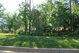 Plus de détails pour Five Outparcels on Fairfield Forest Road – Terrain à vendre, Denver, NC