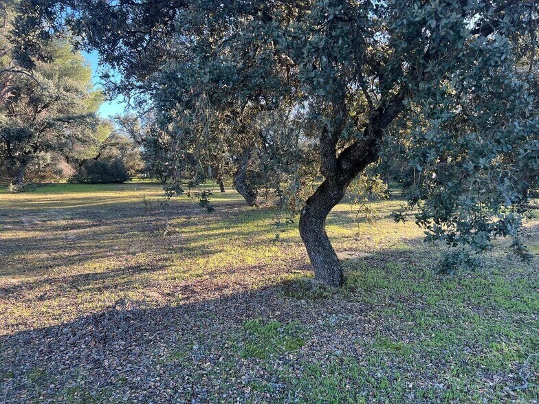 Calle de Alsasua, 6, Madrid, Madrid à vendre - Autre – Image 2 sur 3