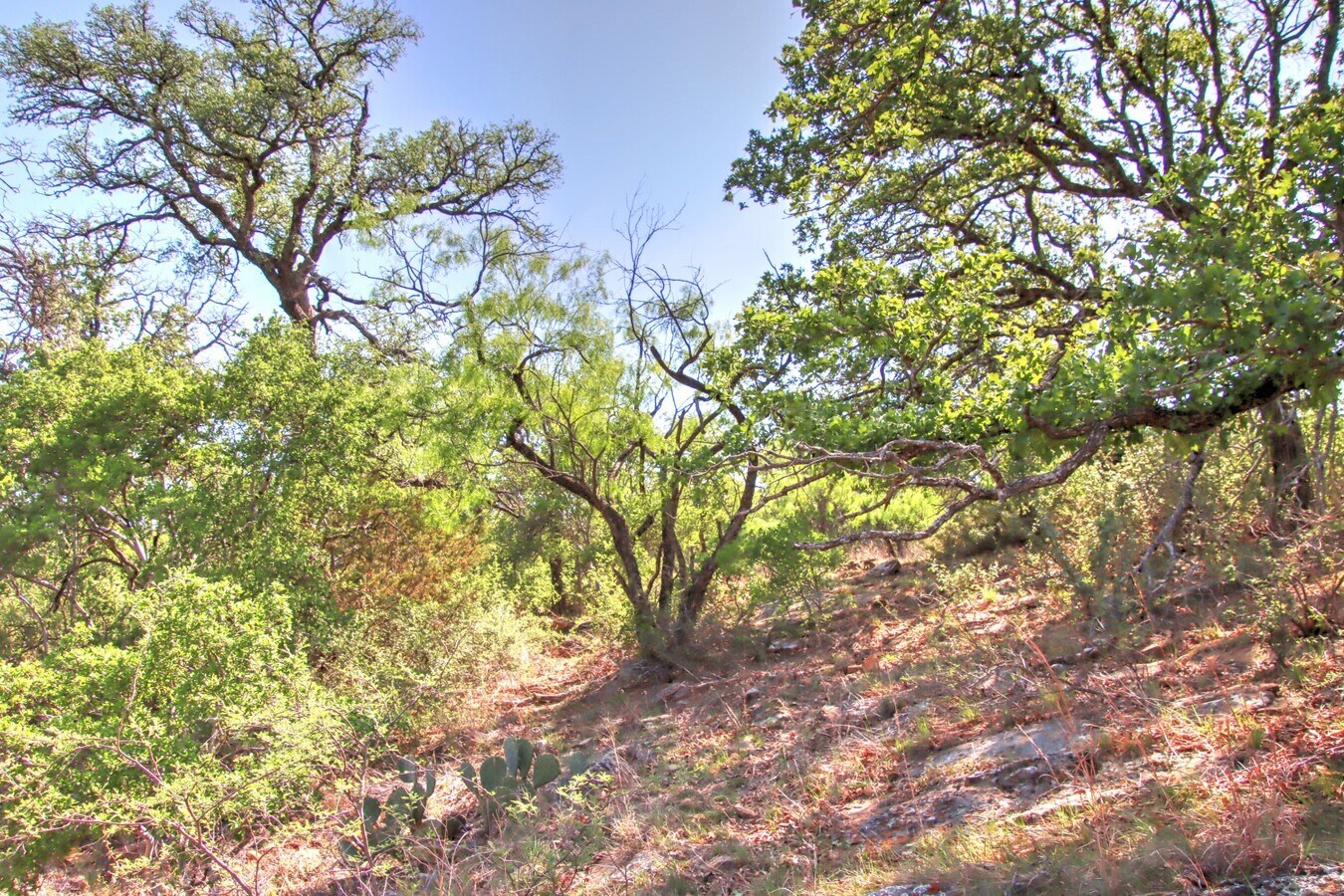 View Photo