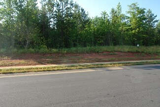 Plus de détails pour 205 Ivy Hill Ln, Rock Hill, SC - Terrain à vendre