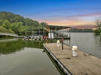 Plus de détails pour 1060 Paint Rock Ferry Rd, Kingston, TN - Spécialisé à vendre