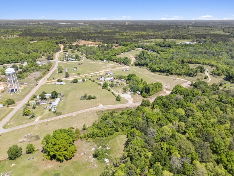 296 Sandy Ln, Troy, AL à vendre - Photo principale – Image 1 sur 10