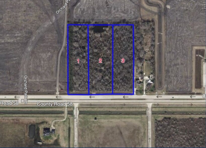 0 CR 58, Manvel, TX à vendre - Plan de site – Image 3 sur 4