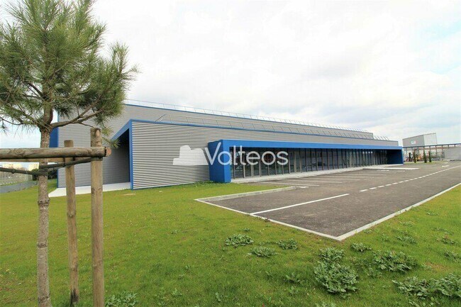 Plus de détails pour 3 Ter Chemin De La Chasse, Colomiers - Local commercial à louer