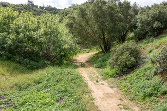 Plus de détails pour 540 Carbon Canyon Rd, Chino Hills, CA - Terrain à vendre