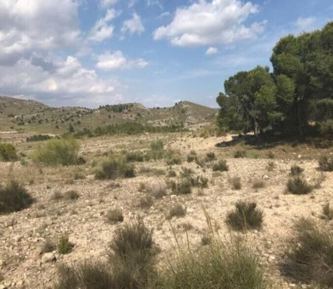 Terrain dans Cieza à vendre - Aérien – Image 1 sur 17