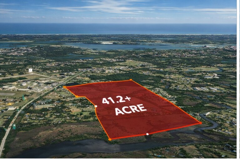 S Golf Lake Drive, New Smyrna Beach, FL à vendre - Aérien – Image 2 sur 5