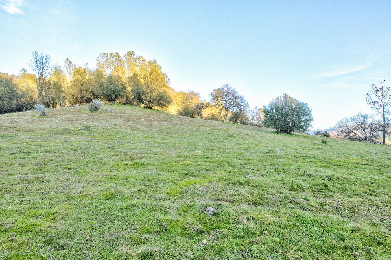 View Photo