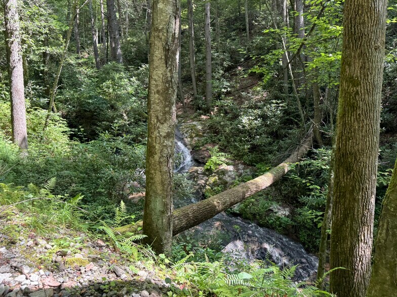 1105 Fall Creek Rd, Purlear, NC à vendre - Photo de l’immeuble – Image 2 sur 69