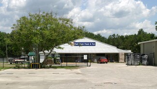 Plus de détails pour 7015 Lithia Pinecrest Rd, Lithia, FL - Local commercial à vendre