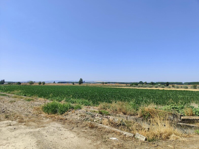 Carretera de Pinos Puente, Atarfe, Granada à vendre - Aérien – Image 3 sur 7