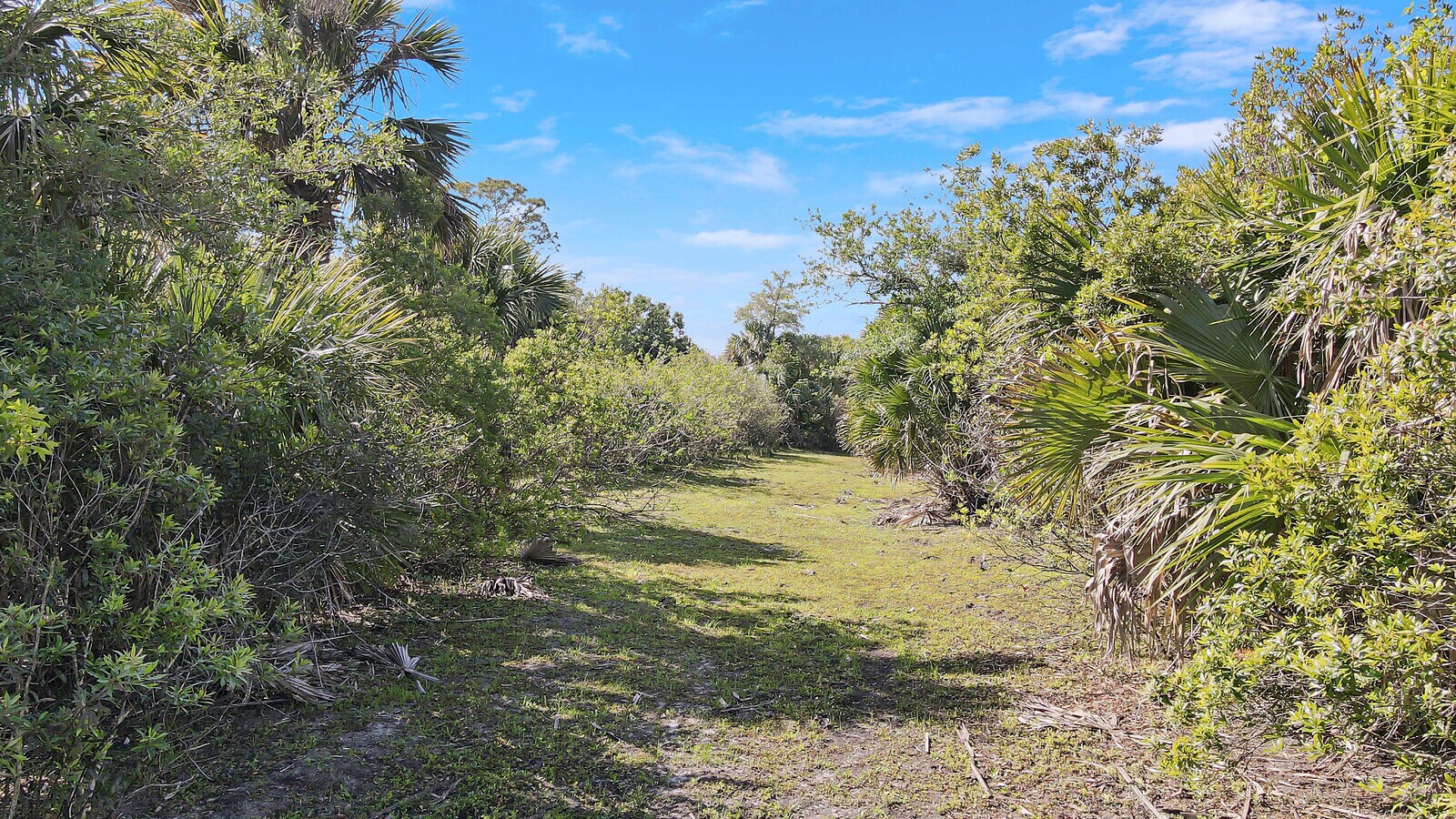 View Photo
