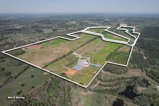 Plus de détails pour 833 N Prather Rd, Michie, TN - Terrain à vendre