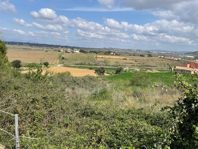 Terrain dans Pacs del Penedès, Barcelona à vendre - Photo de la construction – Image 2 sur 2