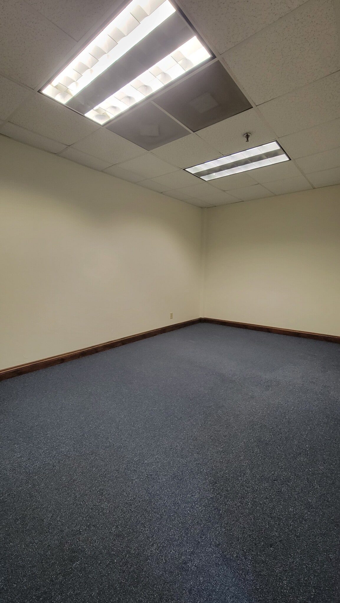 3825 Henderson Blvd, Tampa, FL à louer Photo intérieure– Image 1 sur 4