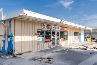 Plus de détails pour 4307 Calienta St, Hernando Beach, FL - Local commercial à vendre