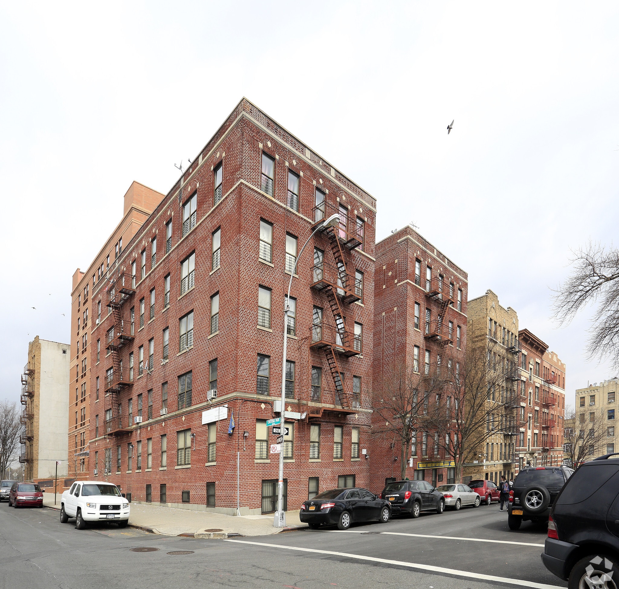 887 Crotona Pky N, Bronx, NY à louer Photo principale– Image 1 sur 19