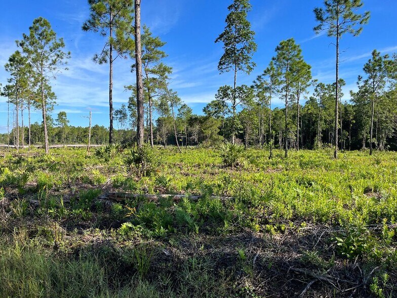 2 International Golf Parkway, Saint Augustine, FL à vendre - Photo de l’immeuble – Image 2 sur 2