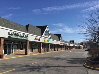 Plus de détails pour 375-409 Lear Rd, Avon Lake, OH - Bureau/Local commercial, Local commercial à louer
