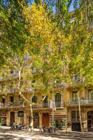 Plus de détails pour Carrer d'Aribau, 126, Barcelone - Local commercial à louer