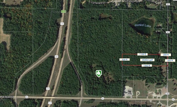 0000 W M46 Rd, Edmore, MI à vendre - Aérien – Image 3 sur 3