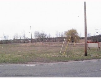 Plus de détails pour 630 W Main St, Stockbridge, MI - Terrain à vendre