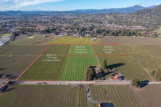 Plus de détails pour 0 Grant Avenue, Healdsburg, CA - Terrain à vendre