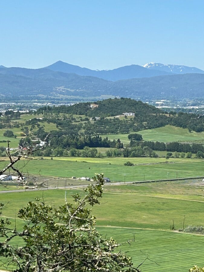 View Photo