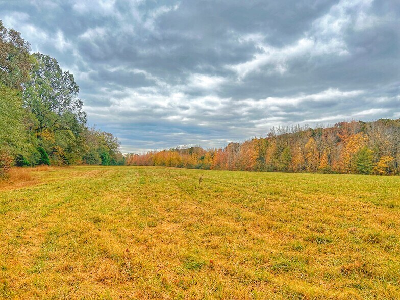 311 Highway 6 East, Oxford, MS à vendre - Photo de l’immeuble – Image 3 sur 10