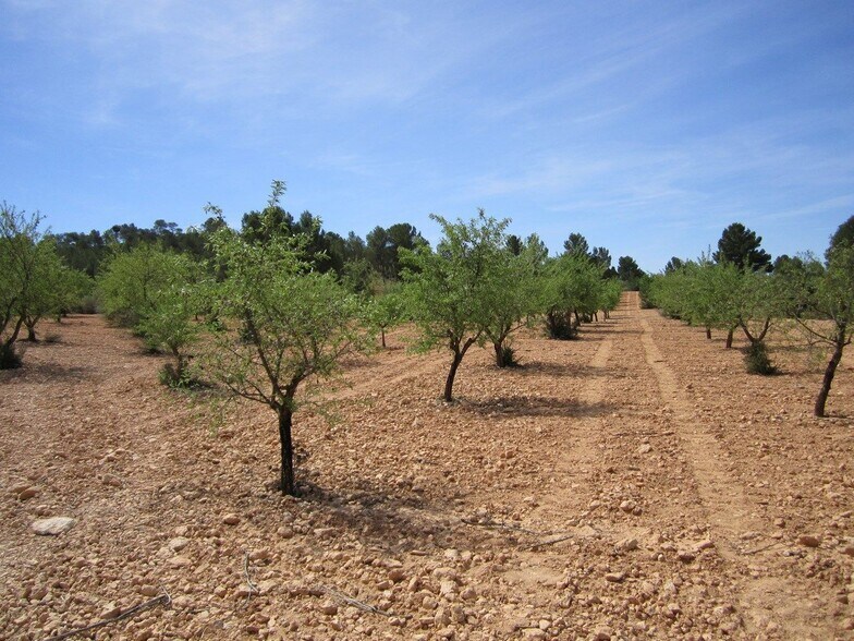Terrain dans MURCIA à vendre - Photo principale – Image 2 sur 6