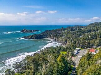 Plus de détails pour 35507 S Highway 1, Gualala, CA - Local commercial à vendre