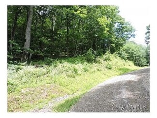 Plus de détails pour 329 Hamlin Lane, Mars Hill, NC - Terrain à vendre