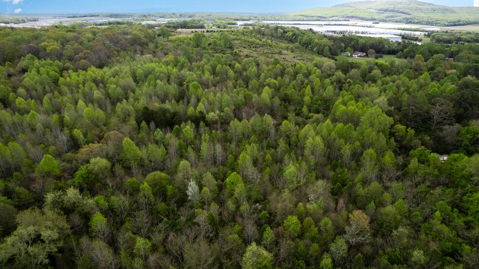 Pulaski Pike, Toney, AL à vendre - Aérien – Image 2 sur 10