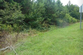 Plus de détails pour 8034 US 11, Springville, AL - Terrain à vendre