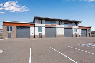 Plus de détails pour 18233 Lincoln Meadows Pky, Parker, CO - Spécialisé à vendre