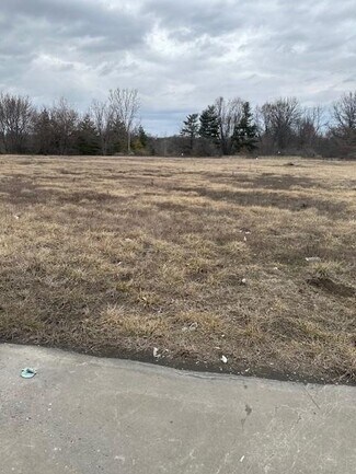 Plus de détails pour School Road, Peculiar, MO - Terrain à vendre