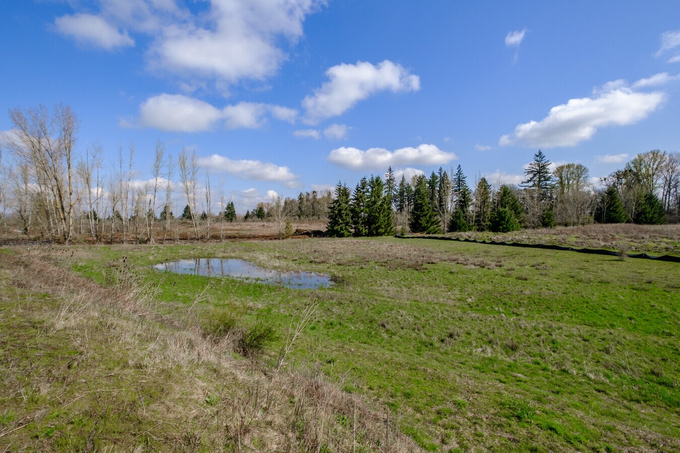 View Photo