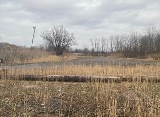 Plus de détails pour Schuyler Rd & E Taft Road, East Syracuse, NY - Terrain à vendre