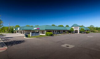 Plus de détails pour 21200 Pontiac Trl, South Lyon, MI - Local commercial à louer