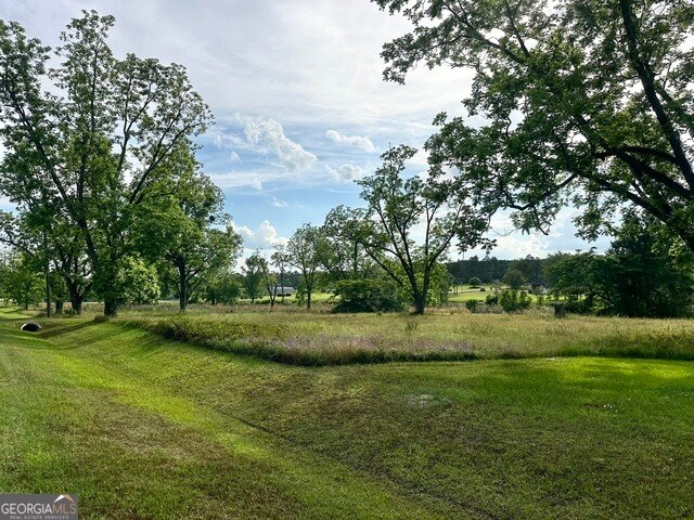 0 Scuppernong Dr, Helena, GA à vendre - Photo de l’immeuble – Image 2 sur 2