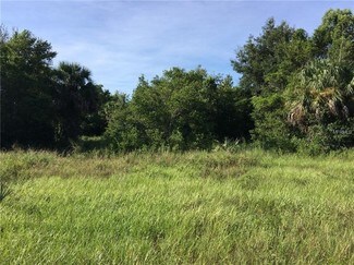 Plus de détails pour Lakeshore Breeze Ct, Eustis, FL - Terrain à vendre