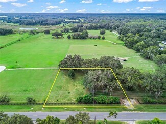 Plus de détails pour C-476, Bushnell, FL - Terrain à vendre