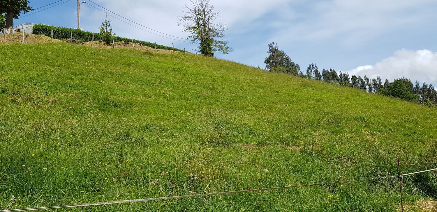 Barrio Peñaferruz, 21, Gijón, Asturias à vendre Photo de l’immeuble– Image 1 sur 15