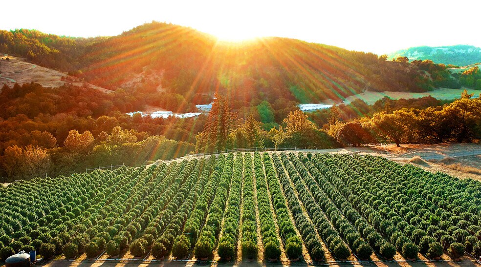 220 Wilder Ridge rd, Honeydew, CA à vendre - Photo de l’immeuble – Image 3 sur 41