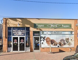 Plus de détails pour 411 Jericho Tpke, New Hyde Park, NY - Local commercial à louer