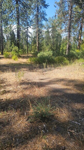 Plus de détails pour 0 Truck Village Dr, Mount Shasta, CA - Terrain à vendre